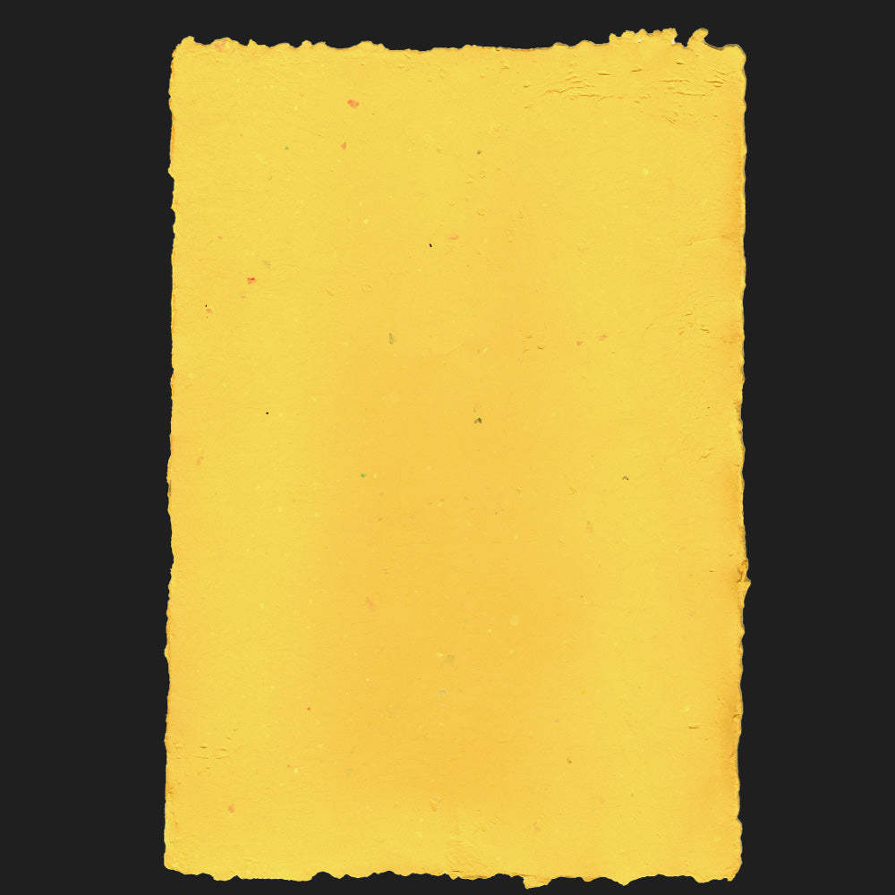 YELLO [ JUN 25 ]